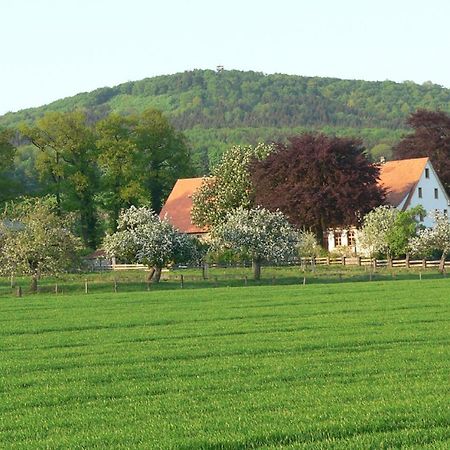 Ferienwohnung An Der Obstwiese Borgholzhausen Экстерьер фото