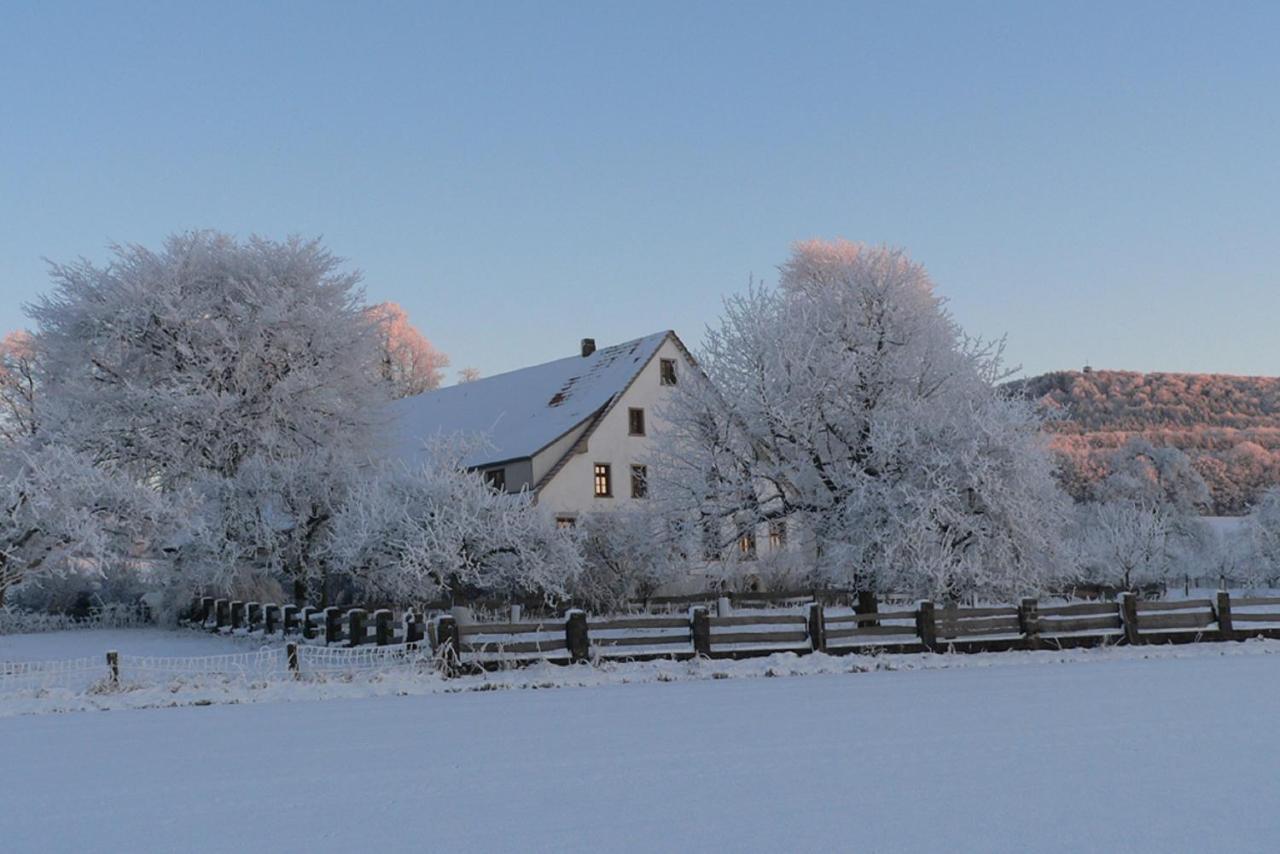 Ferienwohnung An Der Obstwiese Borgholzhausen Экстерьер фото